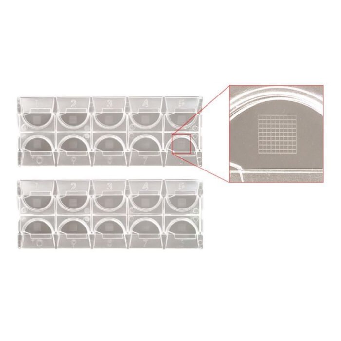 Kova Glasstic Urine Analysis Slides 100 Pack (with Grids) HCE