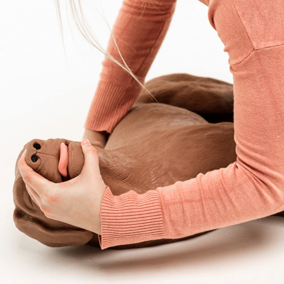 Simulaids Casper CPR Canine Dog Manikin (Training Aid) HCE
