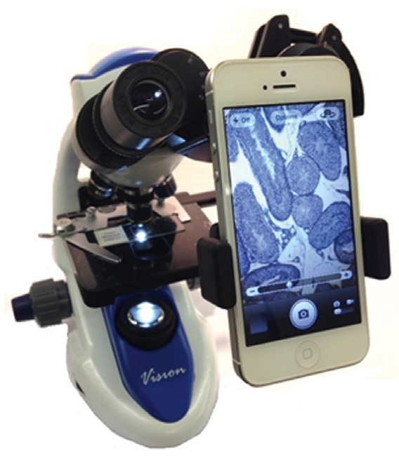 InSight Microscope Adapter HCE