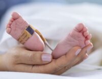 Nellcor Sp02 Sensor Neo/Adult Oxysoftn