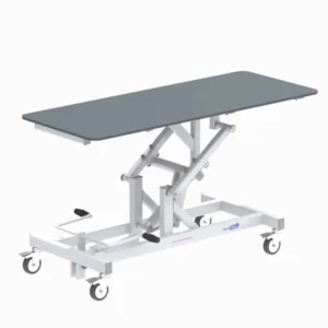 Veterinary Consultation Table