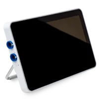 Endoscopy Monitor